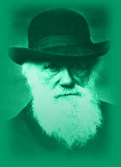 A bearded Darwin as an older man