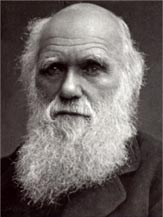 Darwin's Face
